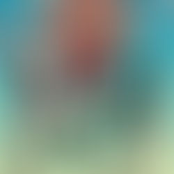 見取り図盆踊り2026 ポッセ先行に関して